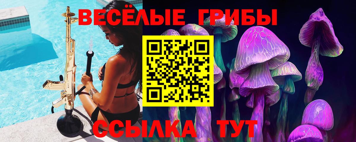 Галлюциногенные грибы Magic Shrooms Звенигород
