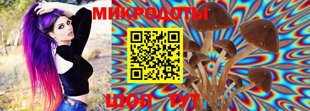 Звенигород  Псилоцибиновые грибы Psilocybine cubensis  Псилоцибиновые грибы мицелий  Вход с VPN 